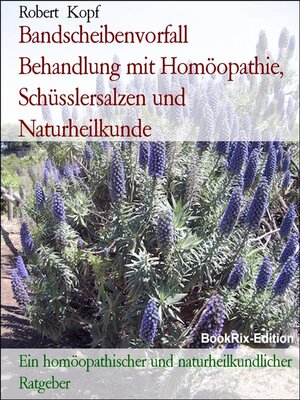 cover image of Bandscheibenvorfall  Behandlung mit Homöopathie, Schüsslersalzen und Naturheilkunde